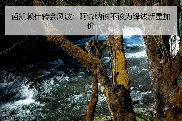 哲凯赖什转会风波：阿森纳该不该为锋线新星加价
